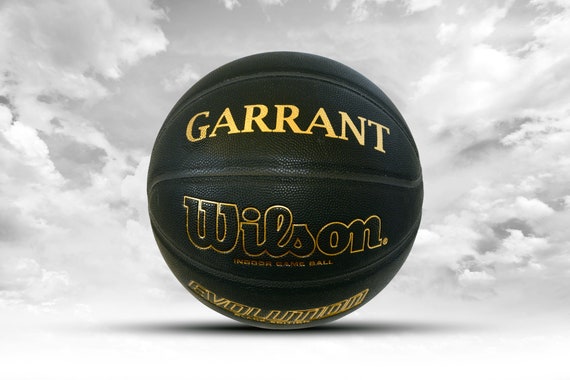 wilson evolution basketball custom