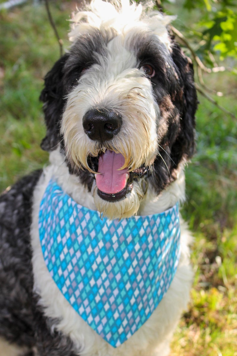 blue dog bandana geometric dog bandana Boho dog bandana dog bandanna