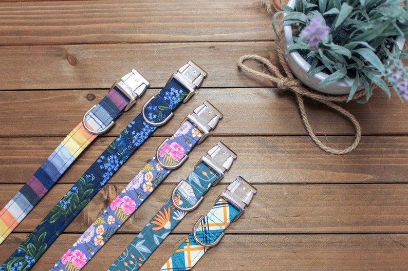 dog collar Blue dog collar Floral dog collar Blue Floral collar big dog collar 1.5 inches 34 inch