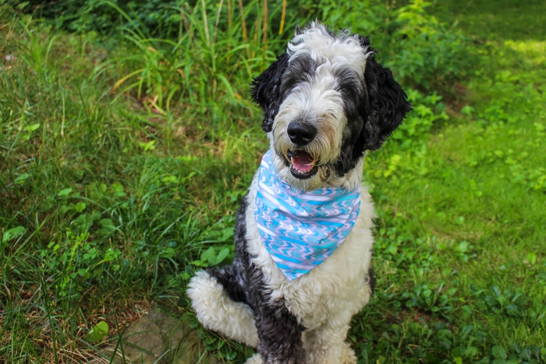 blue dog bandana geometric dog bandana Boho dog bandana dog bandanna