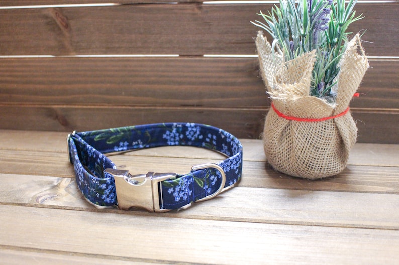 dog collar Blue dog collar Floral dog collar Blue Floral collar big dog collar 1.5 inches 34 inch