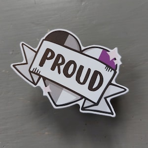 LGBTQ+ Asexual (Ace) Pride Flag Sticker, Durable Decal, Community, Affirming, Vibrant
