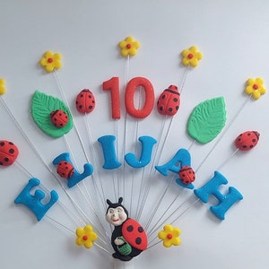 Ladybird, lady bug, personalised name and age birthday cake topper, handmade