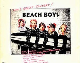 Vintage The Beach Boys Vinyl Album, US Release, 1972
