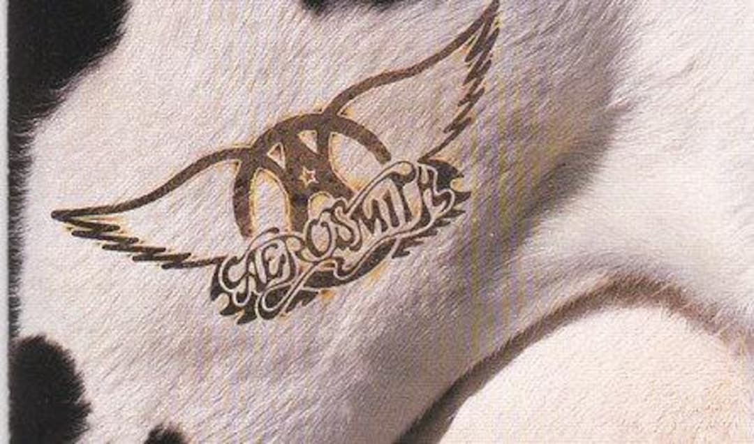 Aerosmith 'get A Grip' CD - Vintage 1983 US Release - Etsy