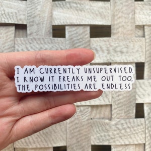 I am currently unsupervised Sticker / Water Resistant Vinyl Sticker / Funny Quote Stickers / Laptop Sticker / Journal Sticker