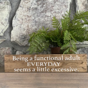 Being a functional adult everyday seems a little excessive / Funny Sign / Funny Office Decor / Desk Signs / Sarcastic Gifts / Funny Gift