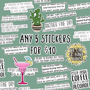 Choose any 5 stickers / Five Piece Sticker Set / Water Resistant Vinyl Sticker / Funny Quote Stickers / Inspirational Sticker / Vinyl Decal
