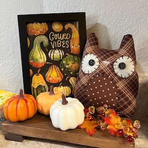 May include: A fall-themed display featuring a framed print with the text "Gourd Vibes" and cartoon gourds. There are three decorative pumpkins in orange and white, a brown owl plush, and fall foliage on a wooden tray.