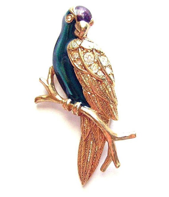 Enamel tropical parrot/bird brooch goldtone rhine… - image 5