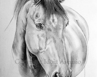 Retrato animales, hecho a mano de tus fotos, a lápiz, original, dibujo realista, familia, niños, mascotas