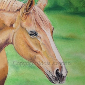 Tierporträt, handgefertigt aus Ihren Fotos, Pastell, Original, realistische Zeichnung, Familie, Kinder, Haustiere