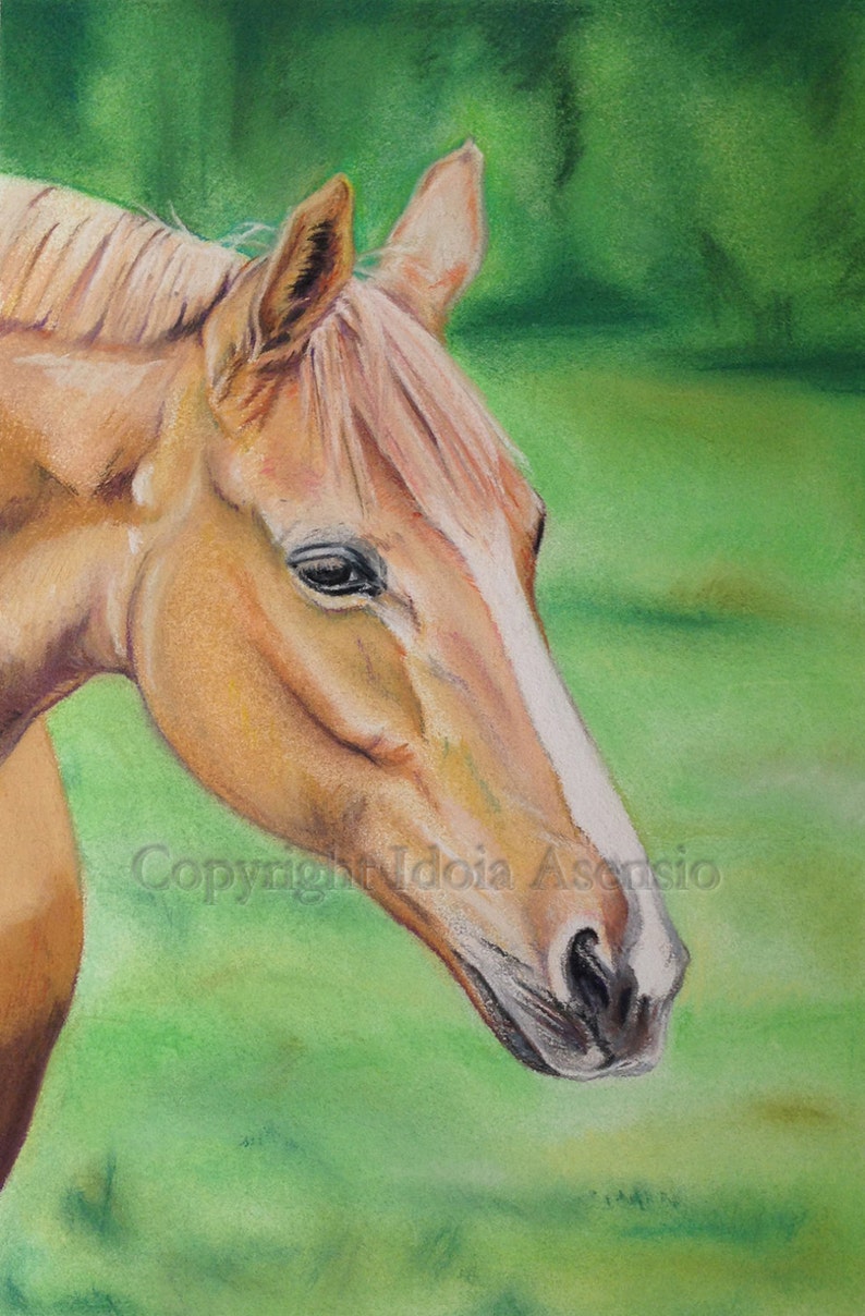 May include: A close-up portrait of a light brown horse with a white stripe on its face. The horse has a soft, fluffy mane and is looking down with its head tilted slightly to the side. The background is a blurred green field.