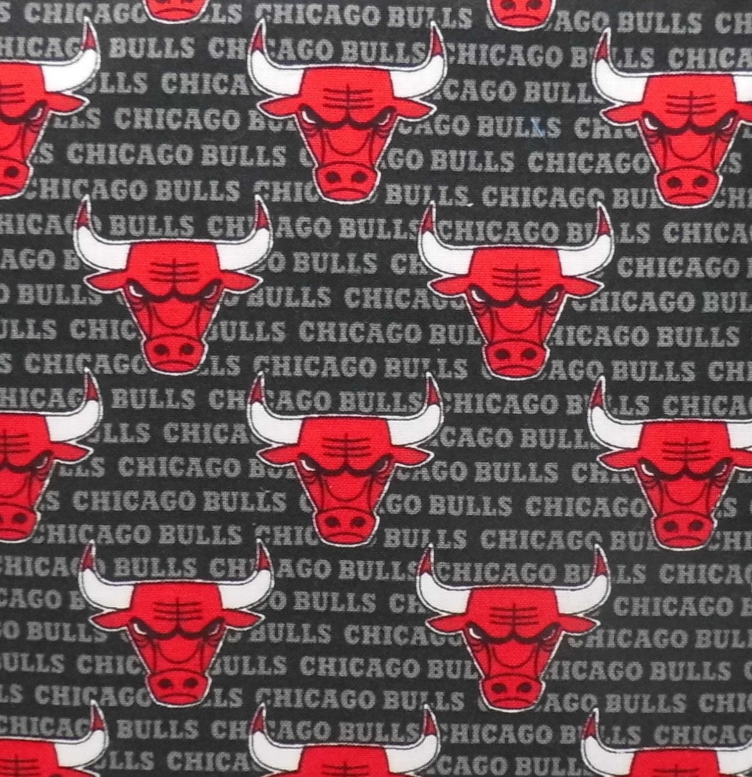 Chicago Bulls Caryn Crossbody Purse Made in USA