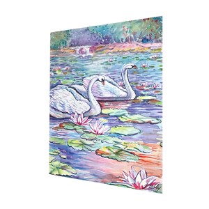 Enchanting Swans print