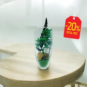 Elegant DIY Terrarium Kit with Dried Florals, Gemstone, and Colored Sand - Handmade Nature Inspired Decor for Small Spaces