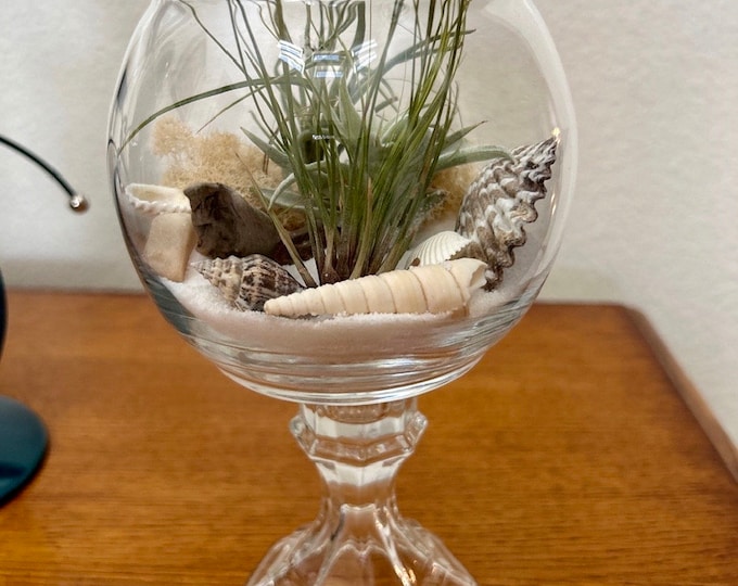 Glass Globe Terrarium