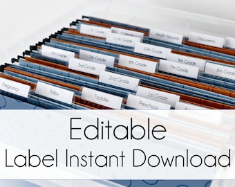 INSTANT DOWNLOAD Milestone Tote Labels EDITABLE Avery Labels Stickers , kids school box, baby memory box, editable pdf