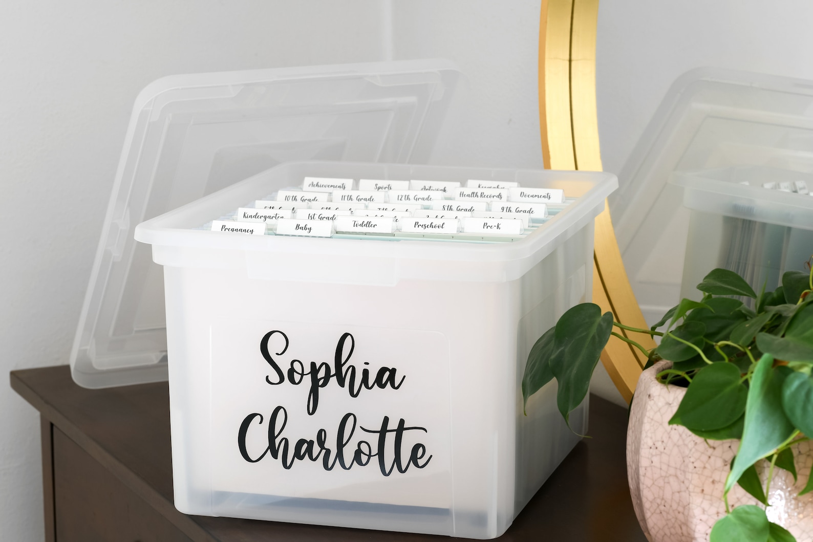 Milestone Tote Labels Baby Memory File Box Milestone Tote Etsy