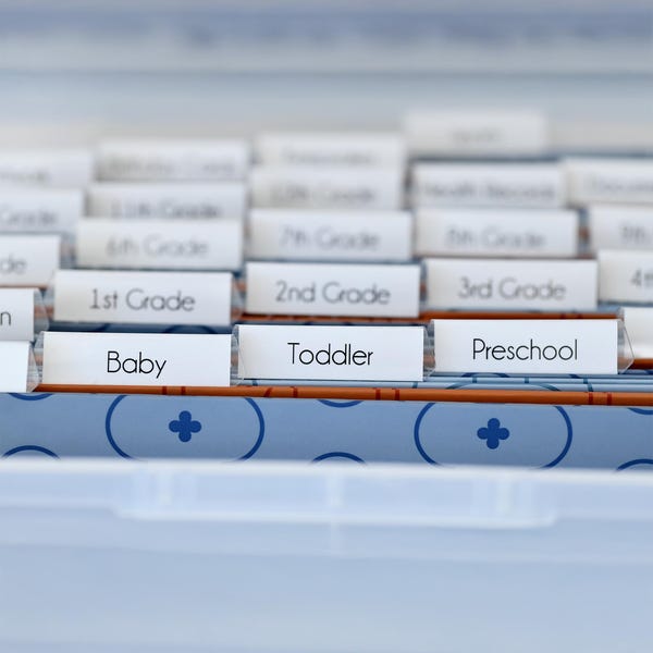 Baby Milestone Labels: File Box Organizer Stickers & Name Decal