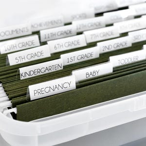 以下が含まれることがあります： 緑色のファイルフォルダーが入った透明なプラスチック製のファイルボックス。白いタブには、「妊娠」、「赤ちゃん」、幼稚園から「12年生」までの学年など、カテゴリがラベル付けされています。ラベルはシンプルなサンセリフ体で印刷されています。