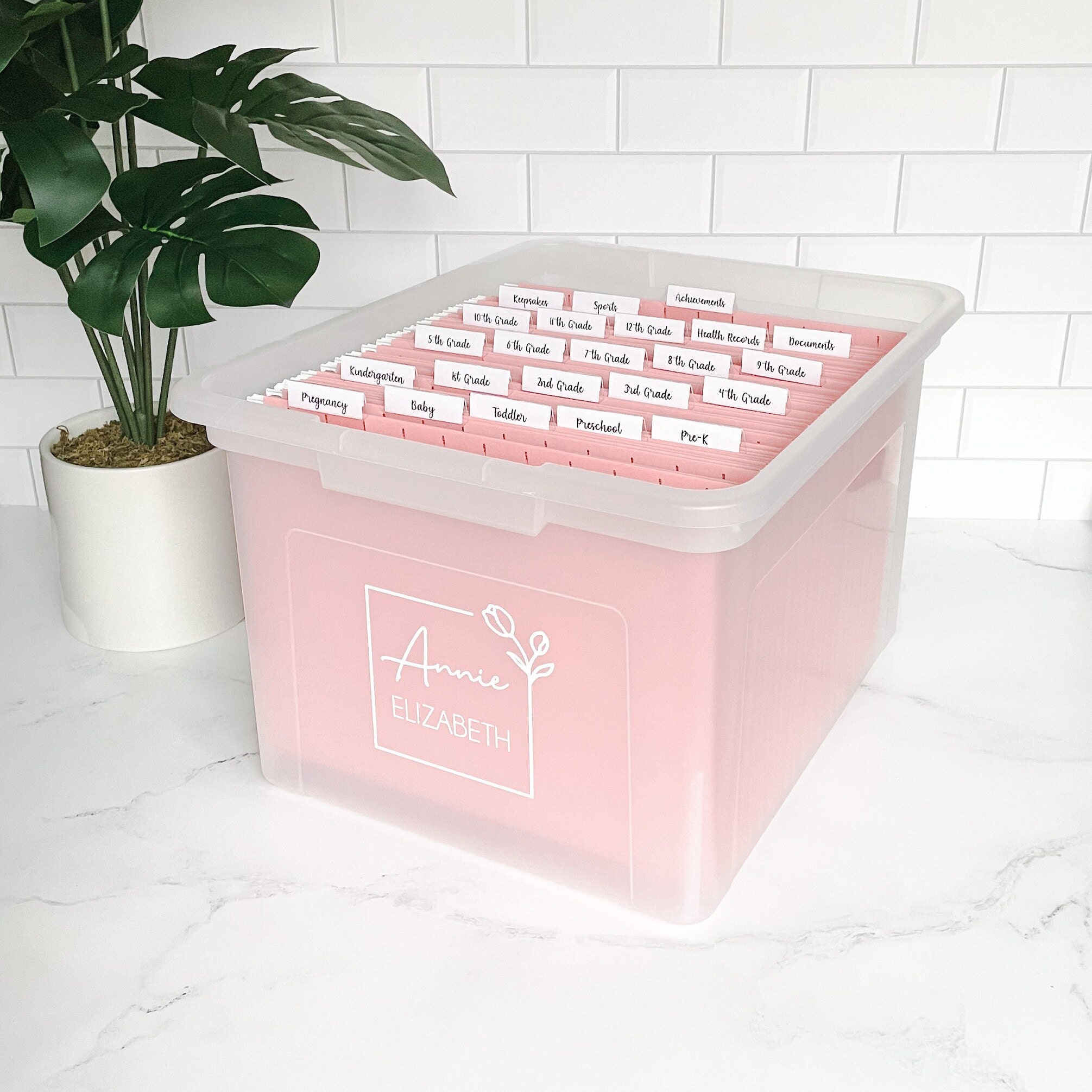 Baby Milestone Box Labels: DIY Memory Keepsake Stickers & Decal