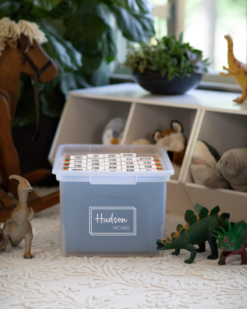 May include: A clear plastic storage bin with a white lid and a label that reads "Hudson Michael" in a white frame. The bin contains labeled file folders. Toy dinosaurs and a rocking horse are in the background.