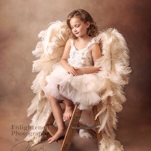Large Angel Wings Costume Cosplay, Wings Photo Prop, Wings Cosplay, White Wings, Wedding Angel Wings Victoria Secret