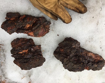 Real Tree Bark