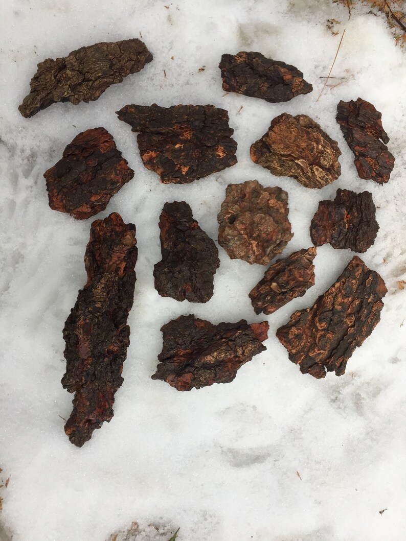 Real Tree Bark - Etsy