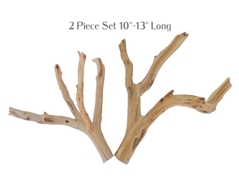 Small Manzanita Driftwood Set for Aquarium, Fish Tank or Terrarium Etsy