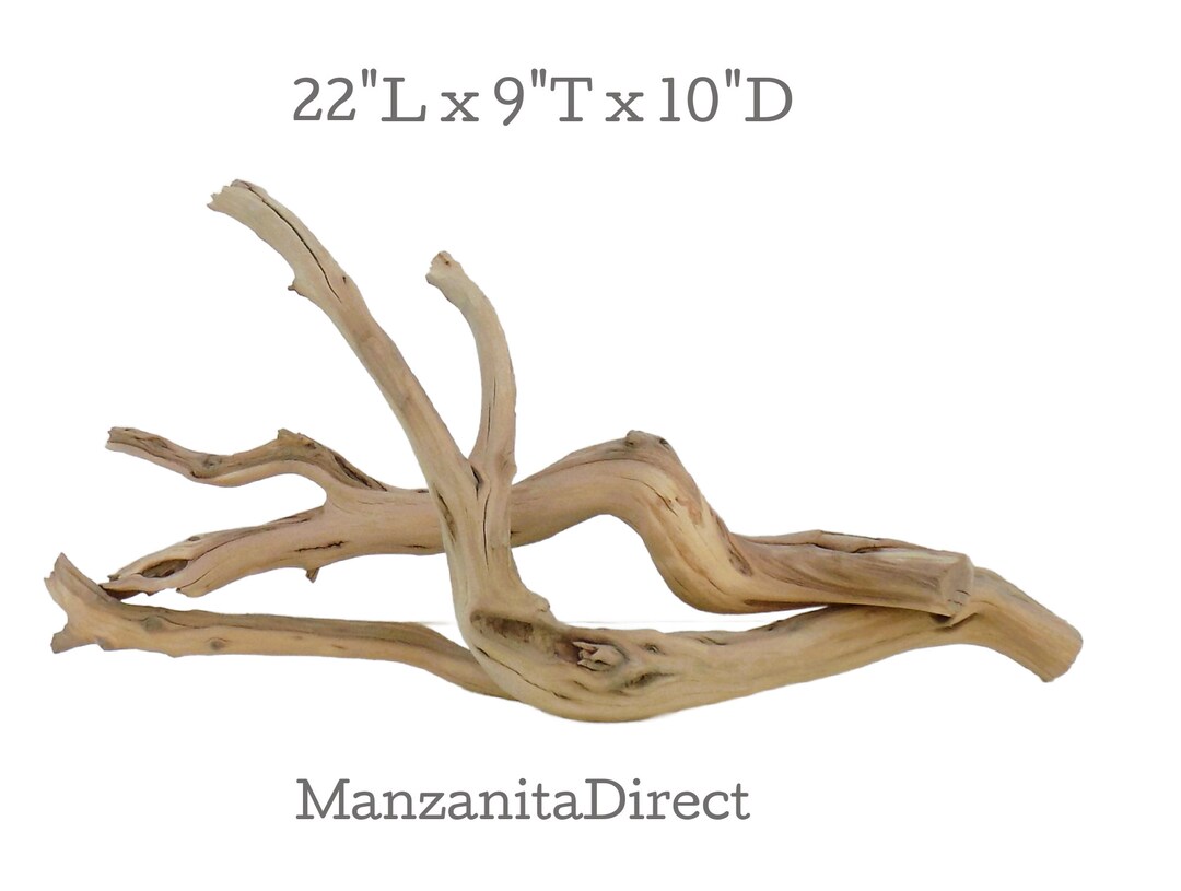 Large Manzanita Driftwood Set for Aquarium, Fish Tank or Terrarium Etsy