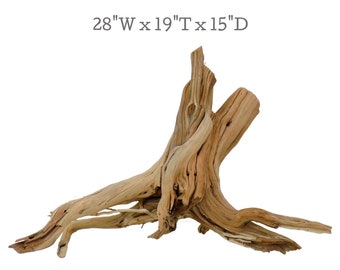 Large Manzanita Driftwood Stump for Aquarium, Reptile, & Garden decor