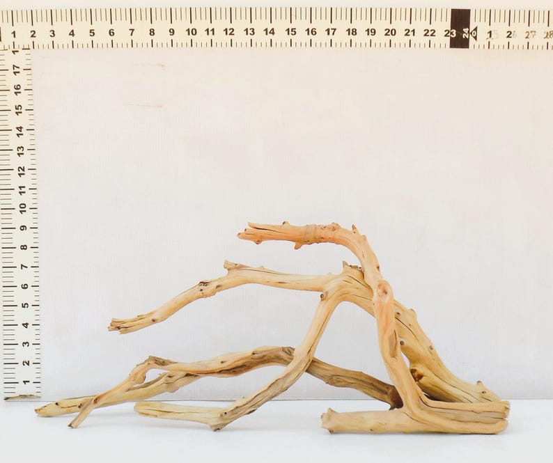 Large Manzanita Driftwood Set for Aquarium, Fish Tank or Terrarium Etsy