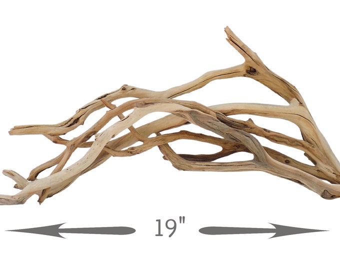 Manzanita Driftwood Set for Aquarium, Fish Tank or Terrarium Etsy