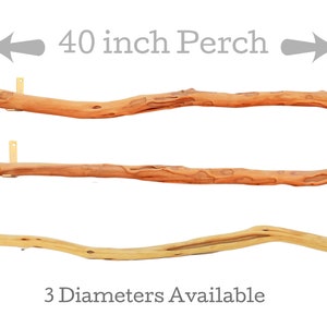 Large Manzanita Bird / Parrot /Reptile Perch, 40" Long