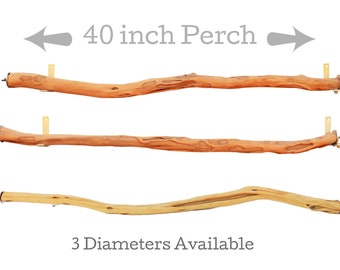 Large Manzanita Bird / Parrot /Reptile Perch, 40&quot; Long