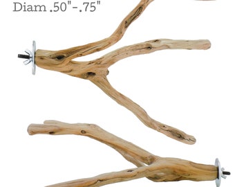 Manzanita Bird Perch, 13" x 11" Multiforked Perch