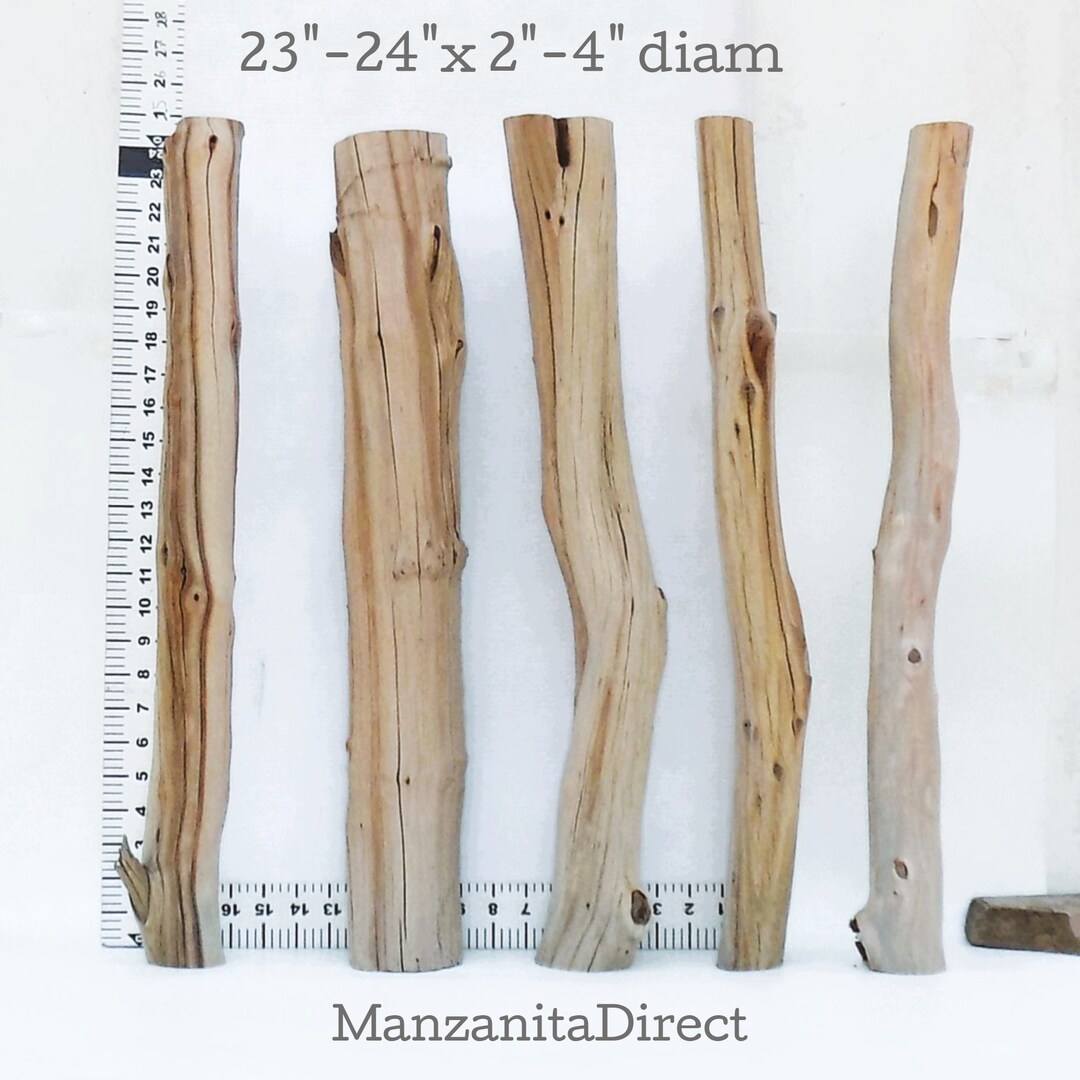 Manzanita Driftwood Forest Log Set for Aquarium Etsy