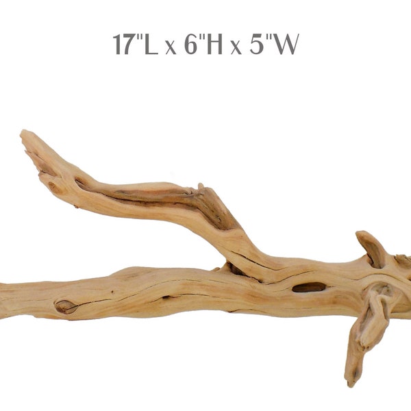 Manzanita Driftwood Branch for Aquarium, Terrarium or Reptile Tank