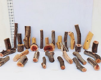 Manzanita Chunks, pre-drilled for Parrot / Macaw / Rodent Toys