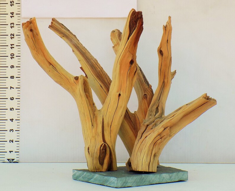 Sandblasted Manzanita Driftwood Set Attached to Slate Awesome Etsy