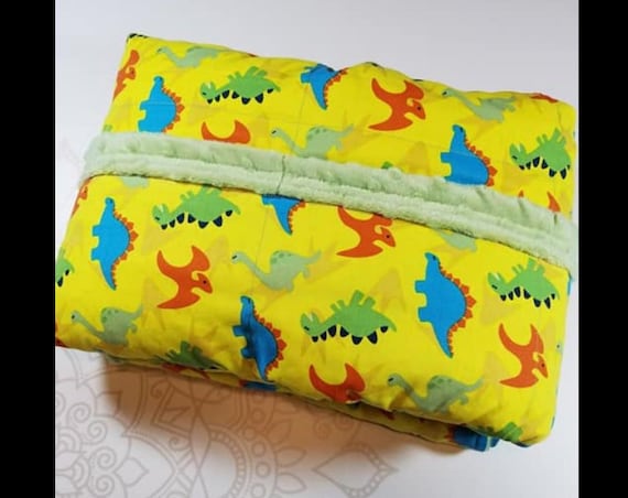 READY to SHIP, 40x60, 10 Pounds, Weighted Blanket, Dinosaur Front, Sage Green Minky Back, Sensory Blanket, Calming Blanket,