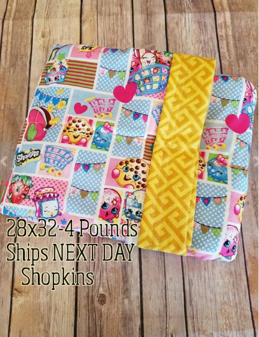 Character 4 Pound WEIGHTED BLANKET 4 pounds 28x32 for Autism Sensory ADHD Calming Anxiety
