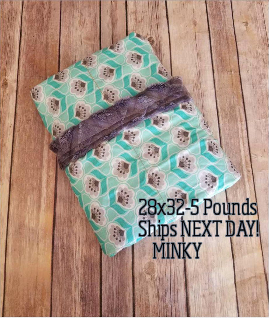Minky, 5 Pound, WEIGHTED BLANKET, Ready To Ship, 5 pounds, 28x32, for