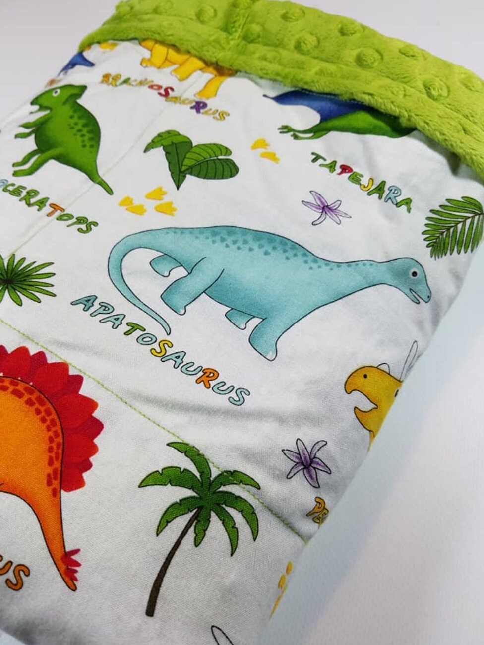 Dinosaur, Minky, Weighted Blanket, 3 pound, Ready To Ship, 28x32, for