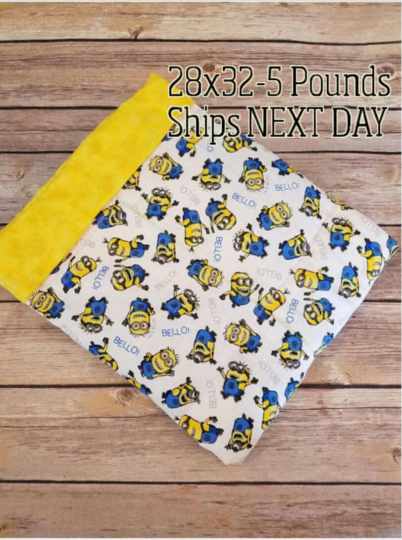 Movie, 5 Pound, WEIGHTED BLANKET, Ready To Ship, 5 pounds, 28x32, for