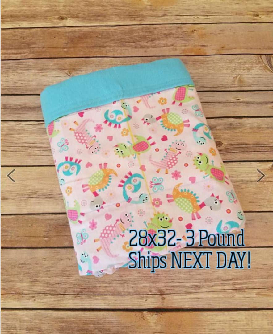 Pink Dinosaur, 3 pound, WEIGHTED BLANKET, Ready To Ship, 3 pounds