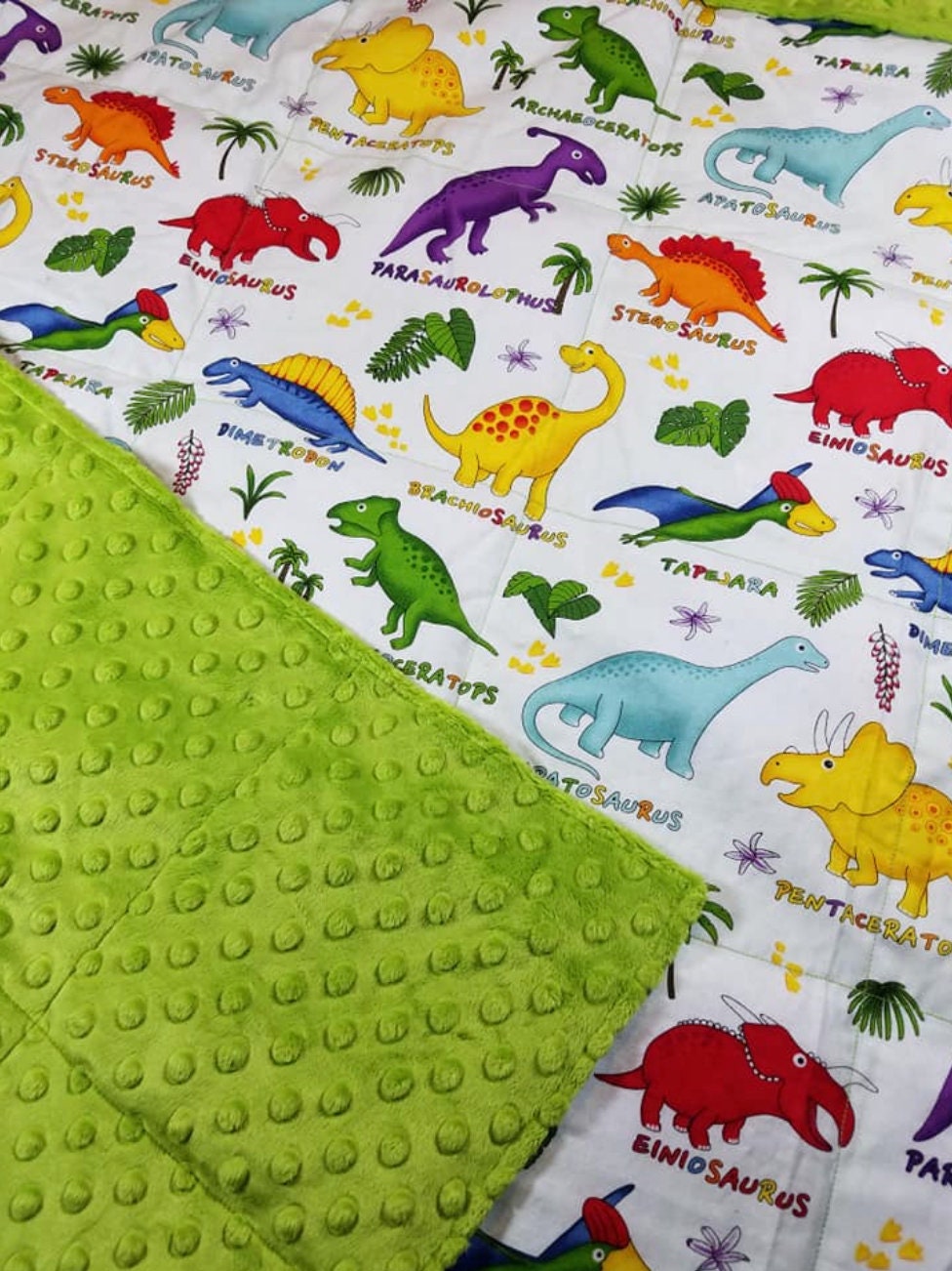 Dinosaur, Minky, Weighted Blanket, 3 pound, Ready To Ship, 28x32, for