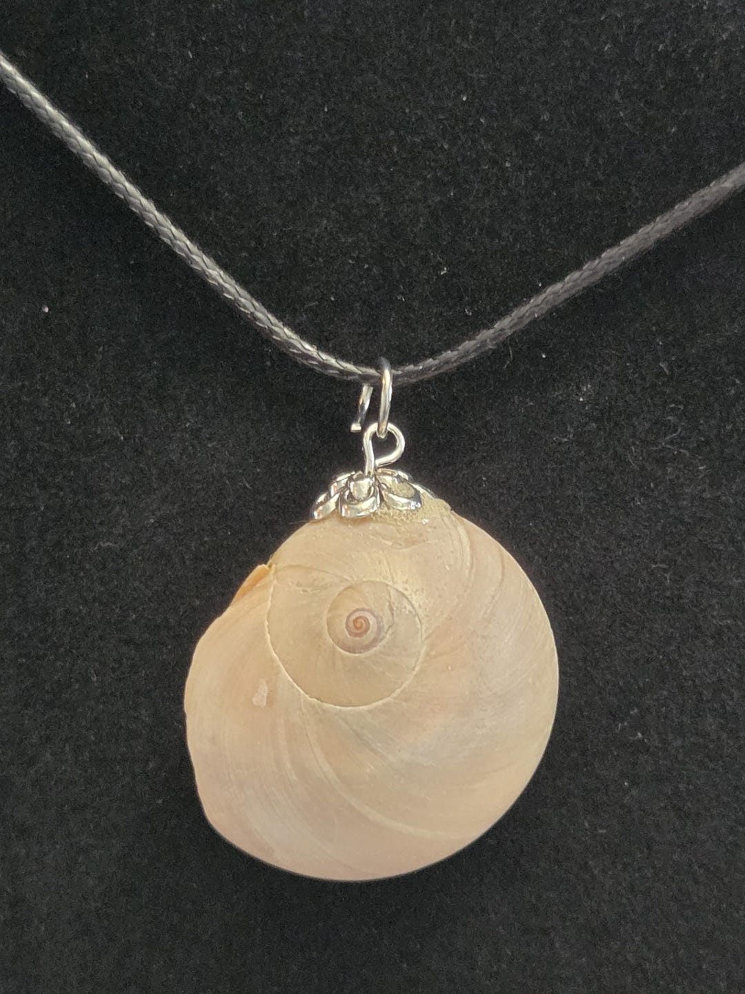 Seashell Necklace Natural Shell Beach Sea Pendant Surfer Wedding Ocean ...